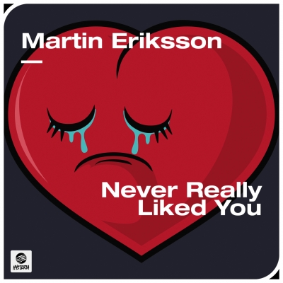 Martin Eriksson - Never Really Liked You