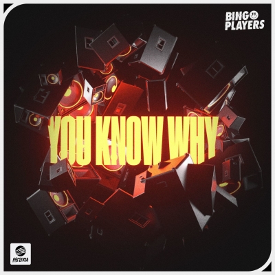 Bingo Players - You Know Why